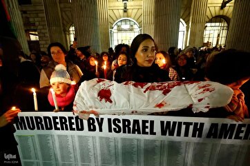 Pro-Palestine Demos Continue Worldwide Amid Brutal Israeli Strikes: Photo Gallery