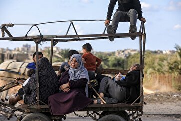 Israeli Aggression Displaces Hundreds of Thousands in Gaza: A Photo Gallery