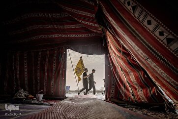 Arbaeen 2023: A Gallery of Images from Major March