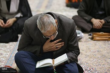 Recitation of Ziyarat Jamia Kabira at Qom Holy Shrine