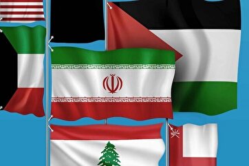 How Should Muslim World Help Palestine: Infographic