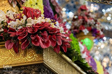 Karbala: Pilgrims Marks Imam Hussein Birthday at His Shrine