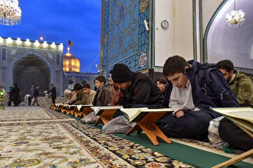 Quran Recitation Gathering at Imam Reza Shrine: Photo Gallery