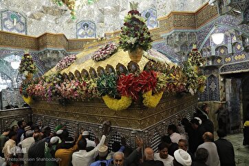 Hazrat Masoumeh Shrine Decorated with Flowers