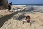Massive Destruction of Gaza’s Ecosystem among Outcomes of Israeli Aggression
