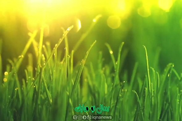 ویدئوکست | خوش بود دامن صحرا و تماشای بهار