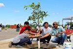 حفظ محیط زیست با کاشت هزار اصله درخت در مرکز اسلامی کانادا