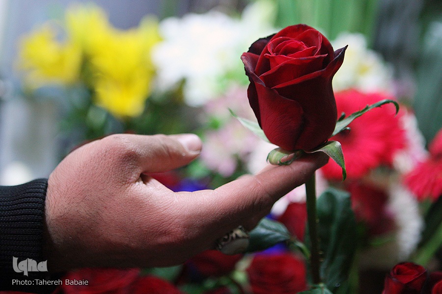 تفاوت بخشندگی با انفعال 