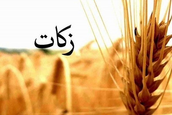 زکات