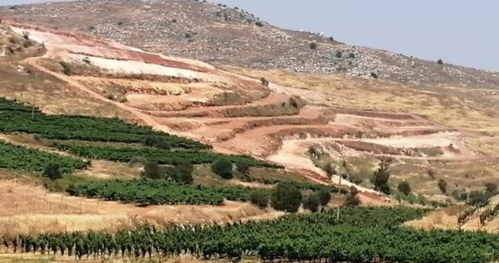 Insediamenti agricoli: lo sfruttamento israeliano delle risorse naturali palestinesi