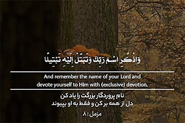 باقی سب سے ناطہ توڑ لے